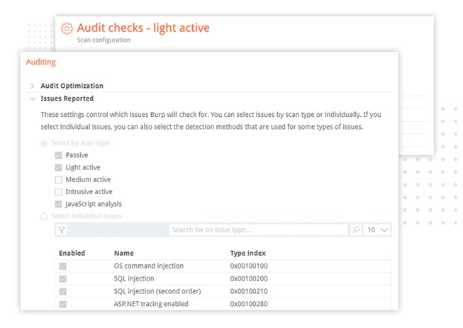 Screenshot of Burp Suite Enterprise Edition scan config screen