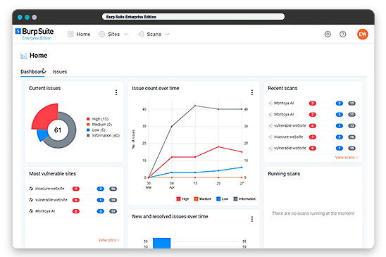 Burp Suite Enterprise Edition Features